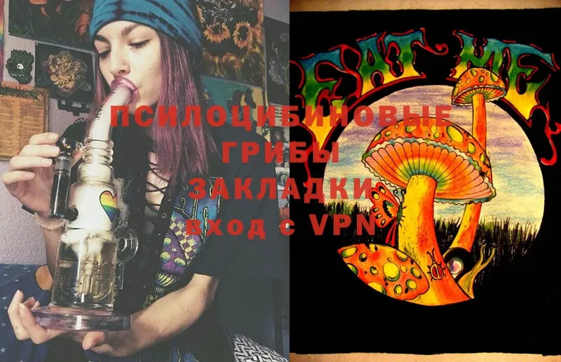 Галлюциногенные грибы Psilocybine cubensis  Камешково 